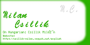 milan csillik business card